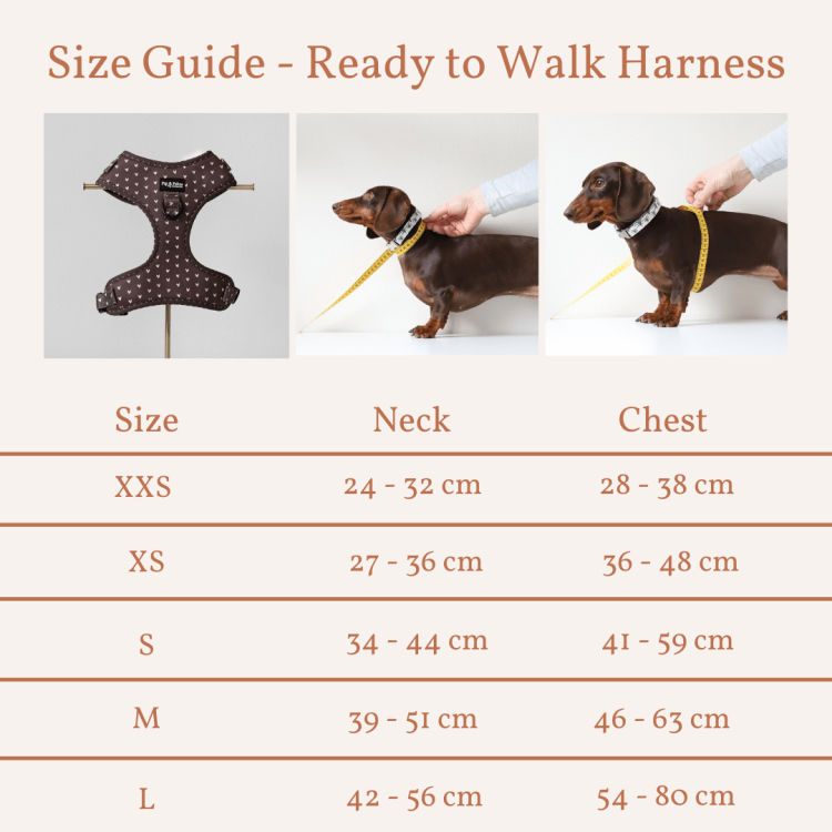 tabela rozmiarów szelek Pip and Palms