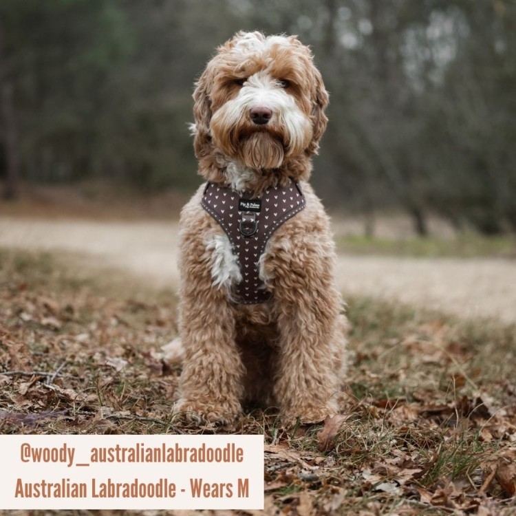 Szelki Pip &amp; Palms Dog Harness Choco Loco Love z szybkoschnącego neoprenu i oddychającej siateczki mesh, regulowane w obwodzie szyi i klatki piersiowej, z metalowym D-ringiem na smycz i zawieszkę, czarne okucia, łatwe w czyszczeniu.