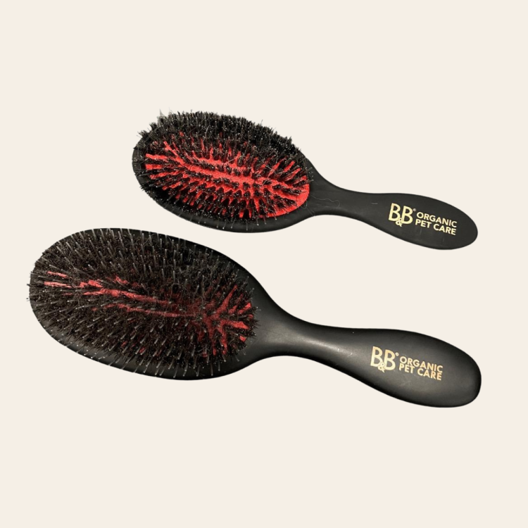 Szczotka B&amp;B Favoritbørste z włosiem dzika i nylonu, do codziennej pielęgnacji każdego typu sierści u psa i kota, nadaje naturalny połysk