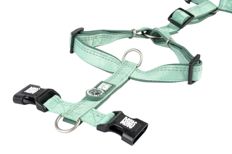Szelki dla psa Max &amp;amp; Molly Comfort H-Harness Matrix 2.0, miękka neoprenowa wyściółka, pełna regulacja, dwa D-ringi, odblaskowe szwy, zintegrowany identyfikator GOTCHA! Smart ID, kolor zielony
