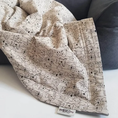 dogs in the city dog blanket dogs convention.webp