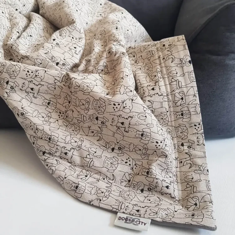 dogs in the city dog blanket dogs convention.webp