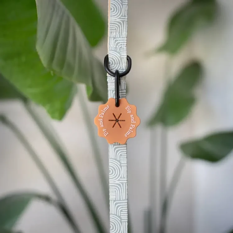 Uchwyt na woreczki Pip &amp; Palms Poop Bag Carrier Orange z karabińczykiem, mocowany do smyczy, pozwala wygodnie przenosić zużyte woreczki podczas spaceru z psem, idealny gdy w pobliżu nie ma kosza.