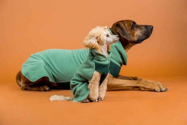 Zielona bluza dla psa PAIKKA Seawool Shirt, z ekologicznej tkaniny Seawool (muszle ostryg i recykling), antybakteryjna, ciepła i oddychająca, z regulowanym kołnierzem