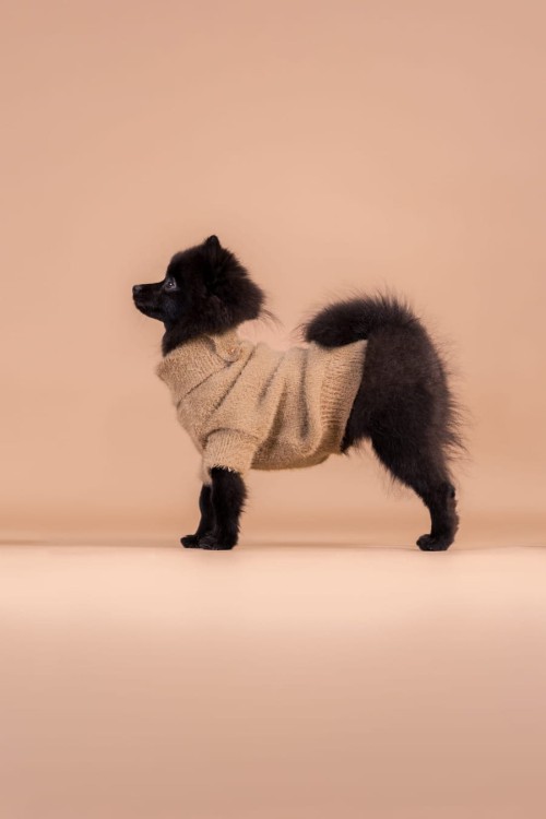 PAIKKA Furry Knit Sweater Brown – sweter na psie