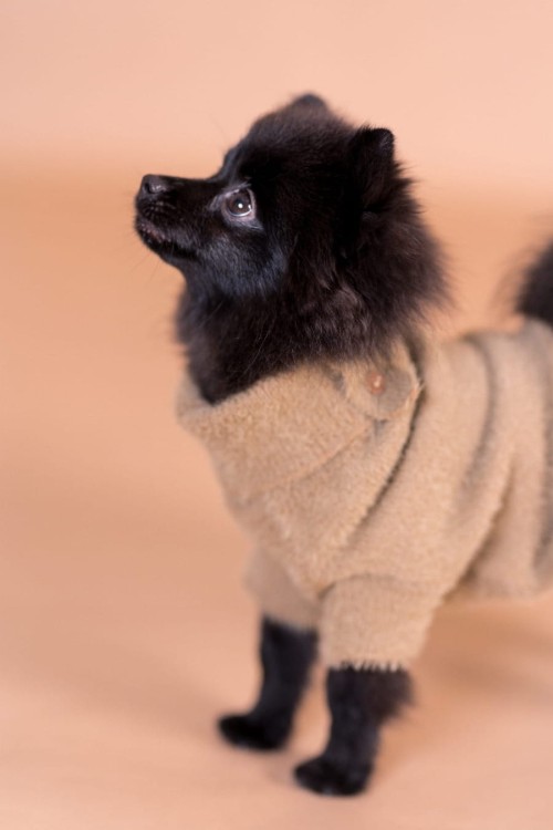 PAIKKA Furry Knit Sweater Brown – sweter na psie