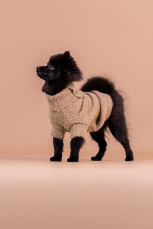 PAIKKA Furry Knit Sweater Brown – sweter na psie