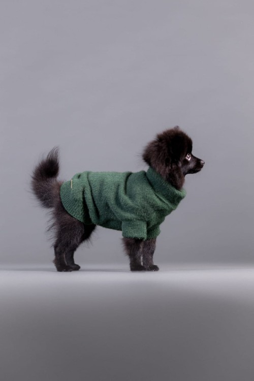 PAIKKA Furry Knit Sweater Green – sweter dla psa na modelu