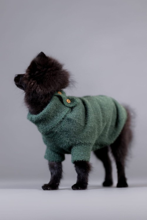 PAIKKA Furry Knit Sweater Green – sweter dla psa na modelu