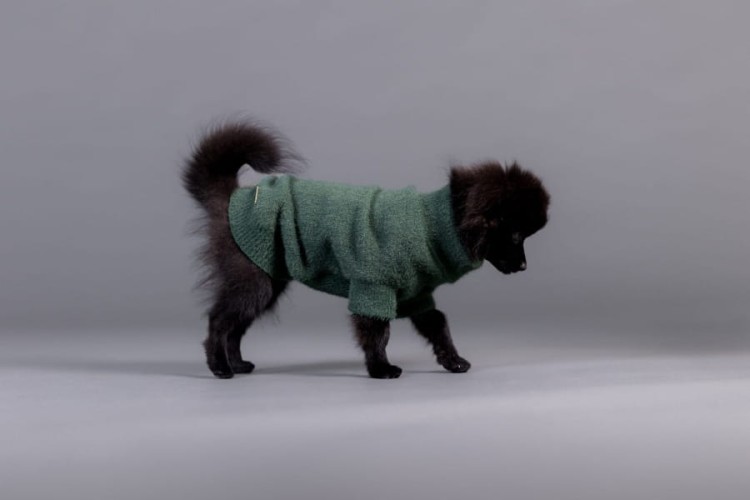 PAIKKA Furry Knit Sweater Green – sweter dla psa na modelu
