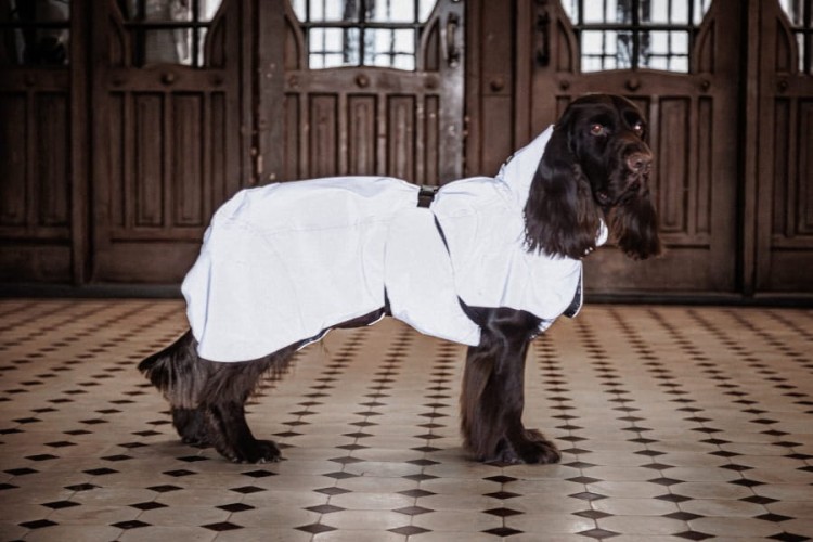 W pełni odblaskowy płaszcz przeciwdeszczowy dla psa PAIKKA Visibility Raincoat Lite, wodoodporny 10000 mm, lekka siateczkowa podszewka, z regulowanym kapturem i otworem na szelki