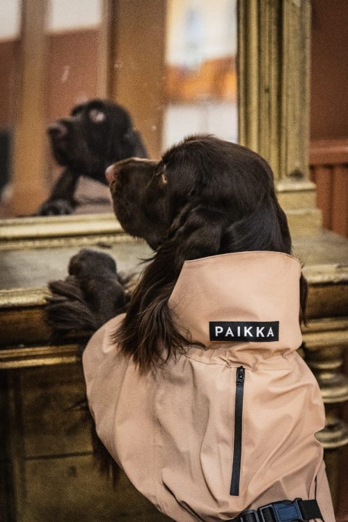 W pełni odblaskowy płaszcz przeciwdeszczowy dla psa PAIKKA Visibility Raincoat Lite, wodoodporny 10000 mm, lekka siateczkowa podszewka, z regulowanym kapturem i otworem na szelki