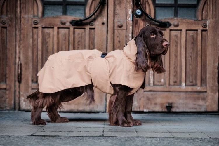 W pełni odblaskowy płaszcz przeciwdeszczowy dla psa PAIKKA Visibility Raincoat Lite, wodoodporny 10000 mm, lekka siateczkowa podszewka, z regulowanym kapturem i otworem na szelki