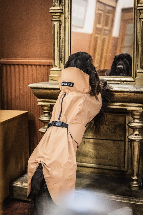 W pełni odblaskowy płaszcz przeciwdeszczowy dla psa PAIKKA Visibility Raincoat Lite, wodoodporny 10000 mm, lekka siateczkowa podszewka, z regulowanym kapturem i otworem na szelki