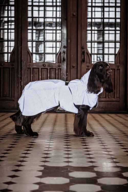 W pełni odblaskowy płaszcz przeciwdeszczowy dla psa PAIKKA Visibility Raincoat Lite, wodoodporny 10000 mm, lekka siateczkowa podszewka, z regulowanym kapturem i otworem na szelki