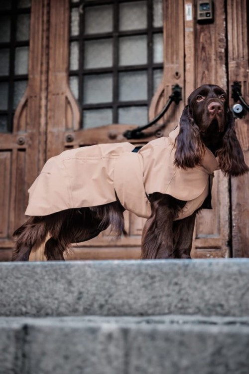 W pełni odblaskowy płaszcz przeciwdeszczowy dla psa PAIKKA Visibility Raincoat Lite, wodoodporny 10000 mm, lekka siateczkowa podszewka, z regulowanym kapturem i otworem na szelki