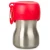 KONG H2O Drinking Water Bottle 280ml 2.webp