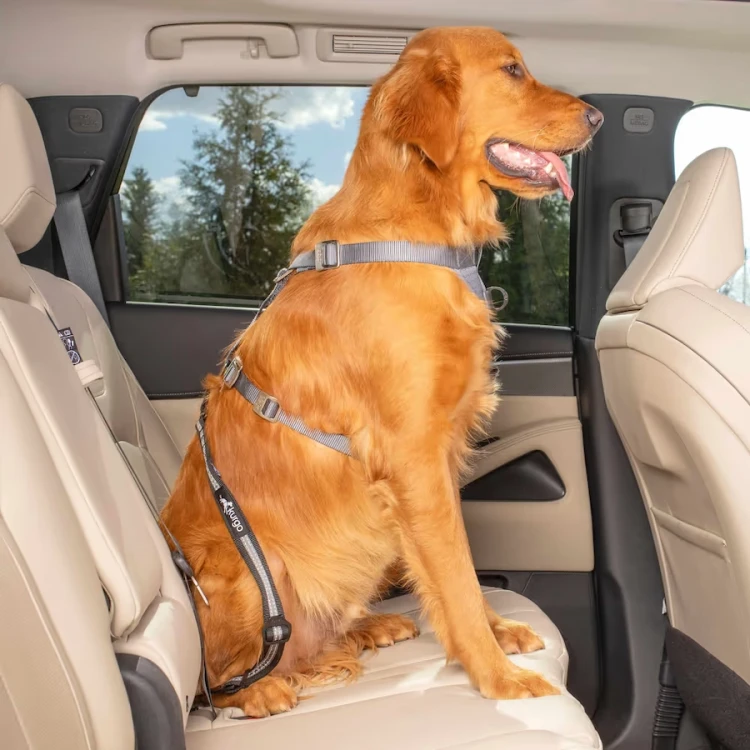 kurgo pas swivel_tether_isofix 6 (1).webp