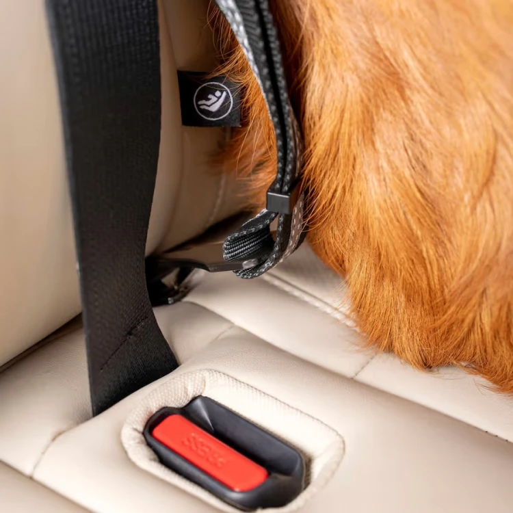 kurgo pas swivel_tether_isofix 3.webp