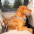 kurgo pas swivel_tether_isofix 2.webp