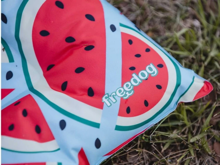 mata-poduszka chłodzącą dla psa i kota, wzór watermelon niebiesko czerwona