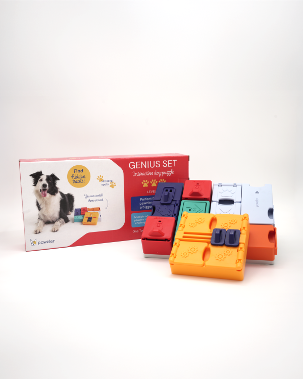 Pawzler Genius Set, zaawansowana interaktywna zabawka logiczna Poziom 3 dla psa, modułowe puzzle na smakołyki, do stymulacji umysłowej, można myć w zmywarce