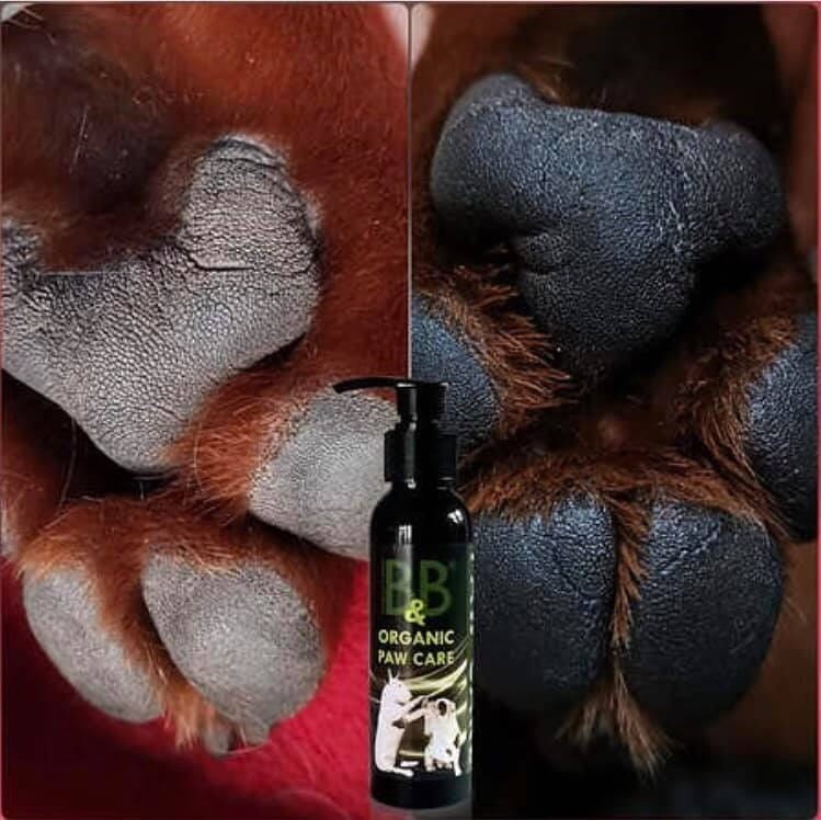 B&amp;B Økologisk Potepleje, balsam do łap psa z olejkiem migdałowym, morelowym i lawendowym, chroni opuszki przed wysuszeniem i solą drogową