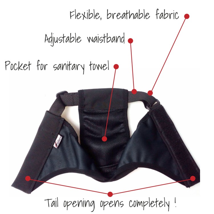 Majtki higieniczne dla suki Finnero BRAVA, wodoodporny i oddychający softshell, na cieczkę i nietrzymanie moczu, z regulowanymi paskami i wewnętrzną kieszenią na wkładkę