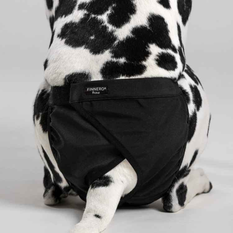 Majtki higieniczne dla suki Finnero BRAVA, wodoodporny i oddychający softshell, na cieczkę i nietrzymanie moczu, z regulowanymi paskami i wewnętrzną kieszenią na wkładkę
