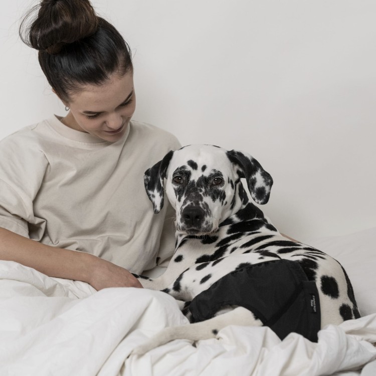 Majtki higieniczne dla suki Finnero BRAVA, wodoodporny i oddychający softshell, na cieczkę i nietrzymanie moczu, z regulowanymi paskami i wewnętrzną kieszenią na wkładkę