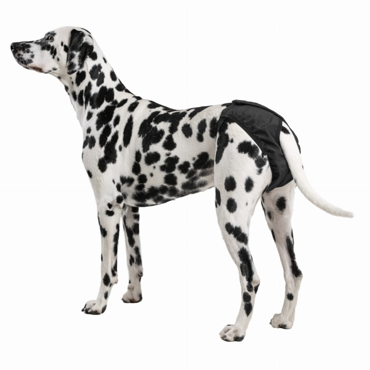 Majtki higieniczne dla suki Finnero BRAVA, wodoodporny i oddychający softshell, na cieczkę i nietrzymanie moczu, z regulowanymi paskami i wewnętrzną kieszenią na wkładkę