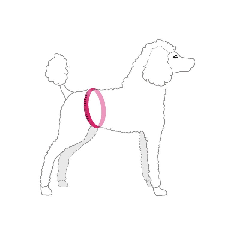 Pas ochronny dla psa Finnero JustinCase Male Dog Wrap, na znaczenie terenu i nietrzymanie moczu, oddychający, wodoodporny, kieszeń na wkład chłonny, zapinany na rzep