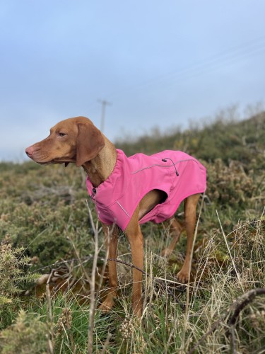 Kurtka softshell dla psa Finnero SPORT, wiatro- i wodoodporna, ciepła polarowa podszewka, zamek na grzbiecie, odblaskowe elementy, elastyczny i oddychający materia