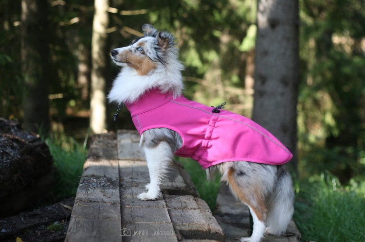 Kurtka softshell dla psa Finnero SPORT, wiatro- i wodoodporna, ciepła polarowa podszewka, zamek na grzbiecie, odblaskowe elementy, elastyczny i oddychający materia