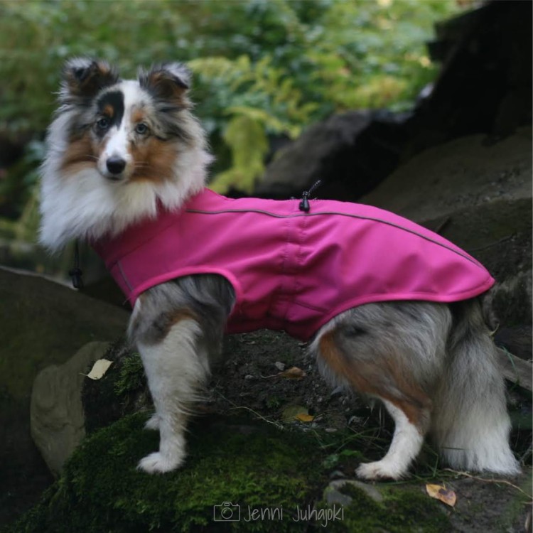 Kurtka softshell dla psa Finnero SPORT, wiatro- i wodoodporna, ciepła polarowa podszewka, zamek na grzbiecie, odblaskowe elementy, elastyczny i oddychający materia