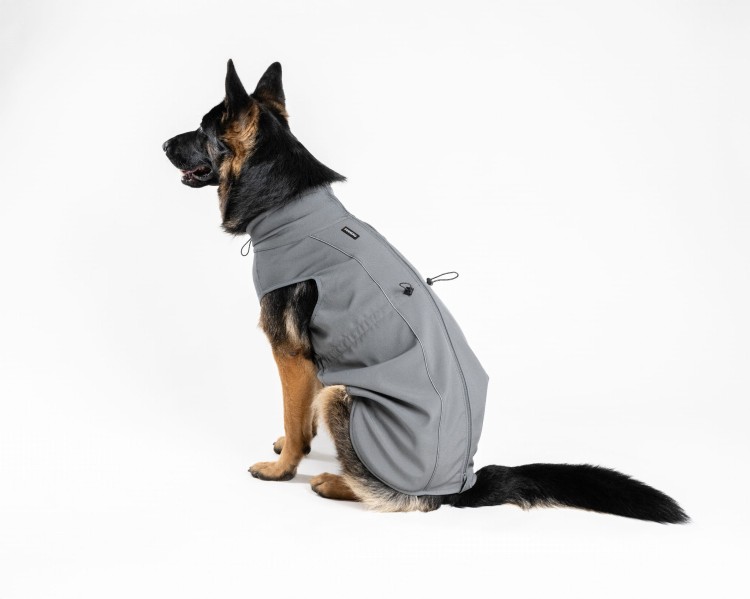 Całoroczna kurtka softshell dla psa Finnero SPORT, wiatro- i wodoodporna, polarowa podszewka, wydłużony krój, gumki na łapy, zamek na smycz, odblaskowe detale