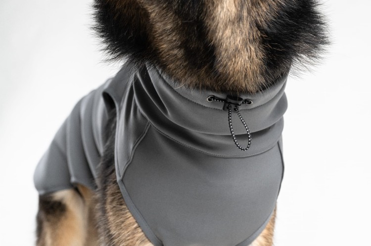 Całoroczna kurtka softshell dla psa Finnero SPORT, wiatro- i wodoodporna, polarowa podszewka, wydłużony krój, gumki na łapy, zamek na smycz, odblaskowe detale