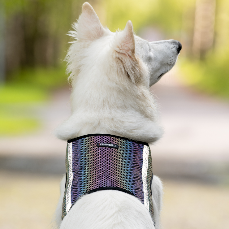 Wielobarwna kamizelka odblaskowa dla psa Finnero GLOW, tęczowy efekt odblaskowy, lekki oddychający poliester, regulowane zapięcia na rzep, dla maksymalnej widoczności po zmroku