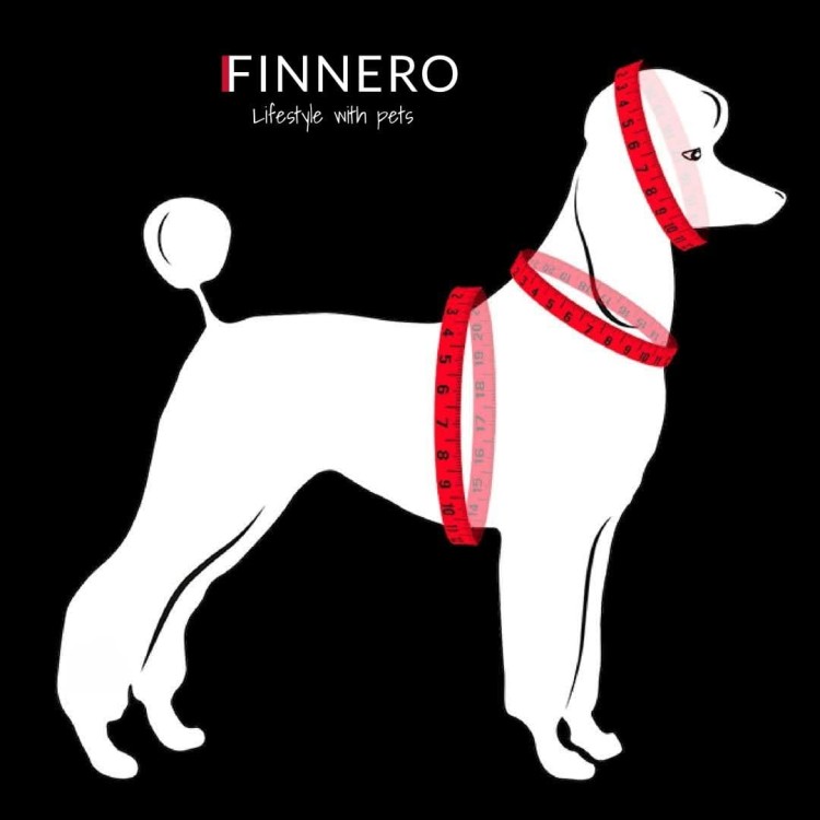 Mittaus-measuring 9.jpg