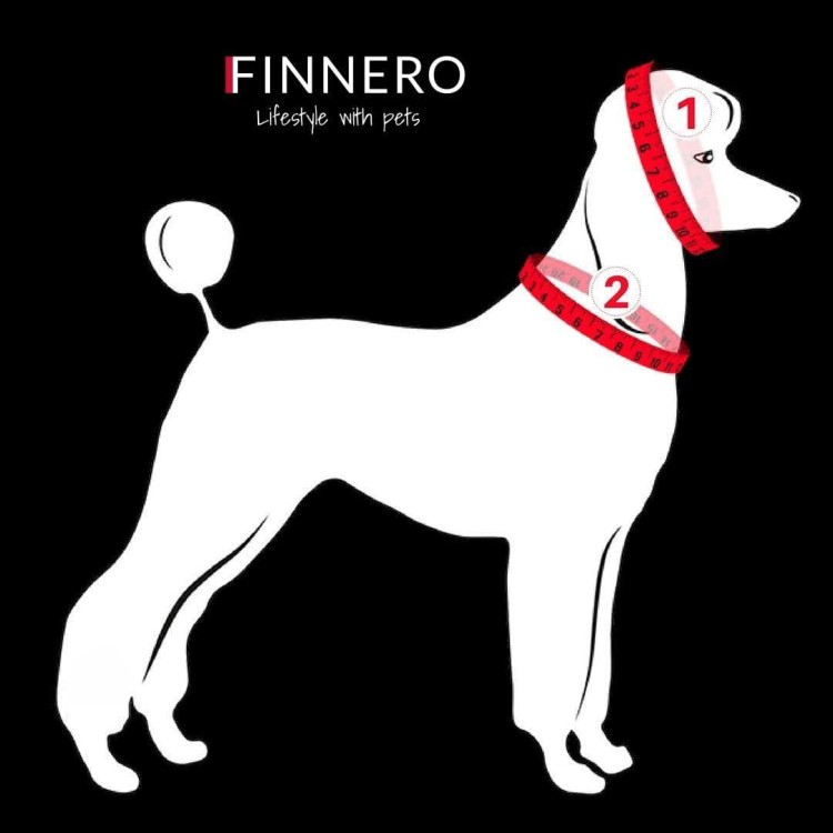 Mittaus-measuring 7.jpg