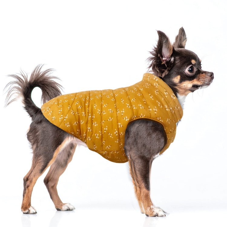 Dwustronna kurtka zimowa dla psa Milk &amp; Pepper Lily, musztardowy kwiatowy wzór i granatowy wodoodporny pikowany poliester, ocieplana, z zamkiem na smycz i złotymi napami