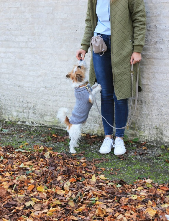 Szary sweter dla psa Tadahzi Unisex z miękkiej wełny merynosów, oddychający, elastyczny krój, idealny na zimowe spacery i chłodne dni