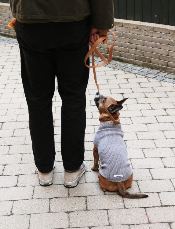 Szary sweter dla psa Tadahzi Unisex z miękkiej wełny merynosów, oddychający, elastyczny krój, idealny na zimowe spacery i chłodne dni