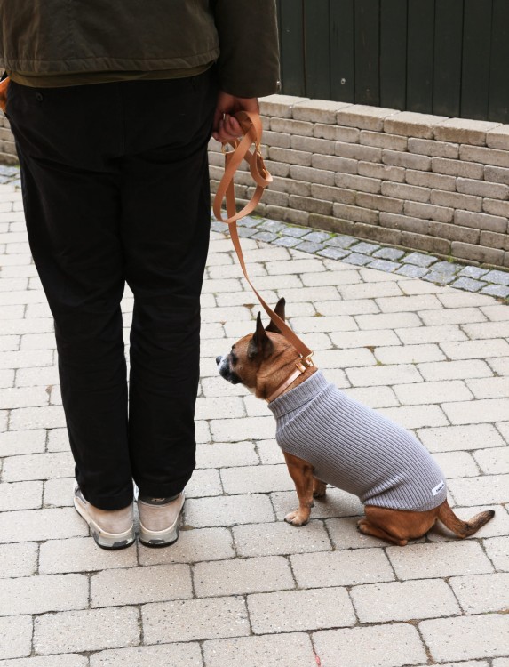 Szary sweter dla psa Tadahzi Unisex z miękkiej wełny merynosów, oddychający, elastyczny krój, idealny na zimowe spacery i chłodne dni