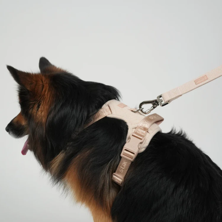Smycz dla psa Staey Elma Dog Leash w kolorze Light Rose, duński design, z karabińczykiem z blokadą bezpieczeństwa, długość 152 cm, wygodny, miękki uchwyt