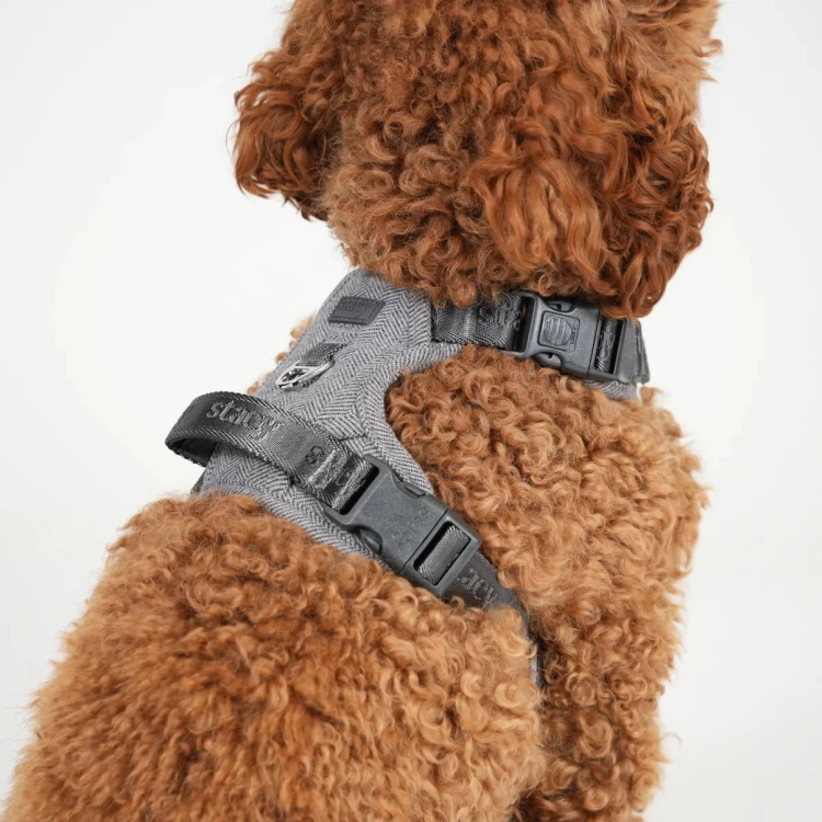 Szelki dla psa Staey Elma Dog Harness Dusty Blue, duński design, z miękką wyściółką i dwoma D-ringami, łatwe zakładanie, chronią szyję i kręgosłup
