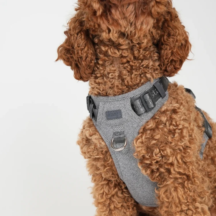 Szelki dla psa Staey Elma Dog Harness Dusty Blue, duński design, z miękką wyściółką i dwoma D-ringami, łatwe zakładanie, chronią szyję i kręgosłup