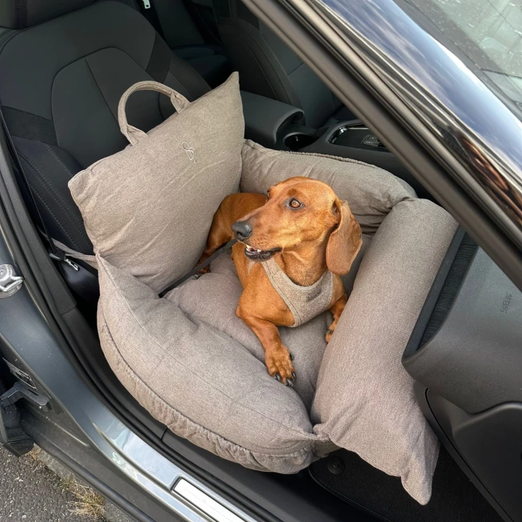 Wielofunkcyjny fotelik samochodowy dla psa Staey Lara 2.0 w kolorze taupe, 3w1: fotelik, legowisko i torba podróżna, zintegrowana smycz bezpieczeństwa