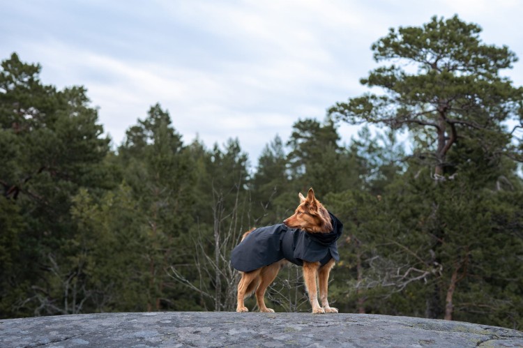 Odblaskowa kurtka zimowa dla psa PAIKKA Visibility Dark, z ociepleniem 3M Thinsulate i podszewką FIR regenerującą mięśnie, wodoodporność 10000 mm, z otworem na szelki