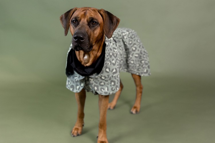 Odblaskowa kurtka zimowa PAIKKA Visibility Green Leo z tęczową poświatą, ocieplenie 3M Thinsulate, podszewka FIR do regeneracji mięśni, wodoodporność 10000 mm, z kapturem